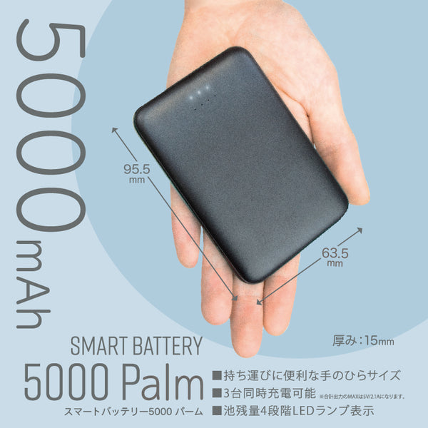 スマートバッテリー5000 Palm