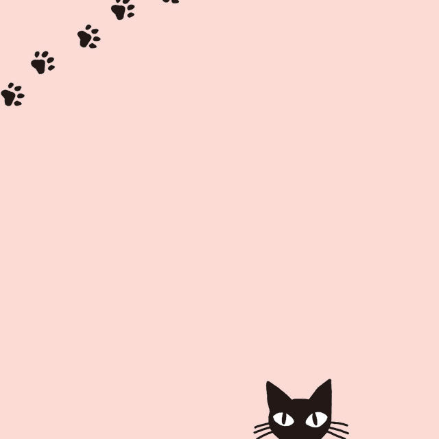 Pinkcat (カード収納＆ミラー付 ハードケース)